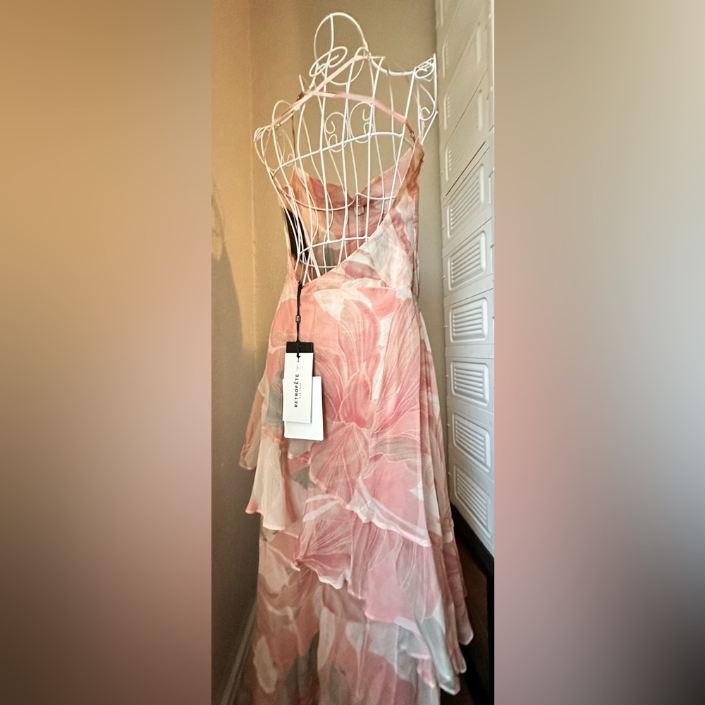 RETROFETE Samara Silk Chiffon Dress Dusty Pink Botanical ⭐️LUXURY PREMIUM⭐️ NWT - Picture 11 of 13